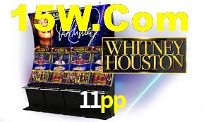 VIP Casino 11pp