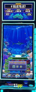 Live Casino 11pp
