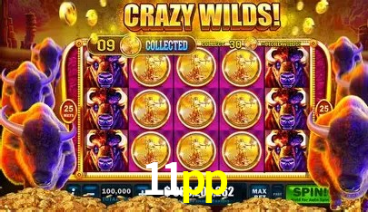 cassino 11pp
